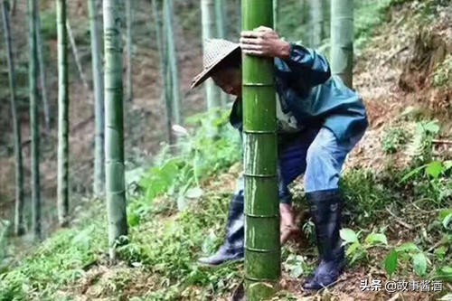 官酝经典1118靠谱吗,官酝经典1118是什么酒