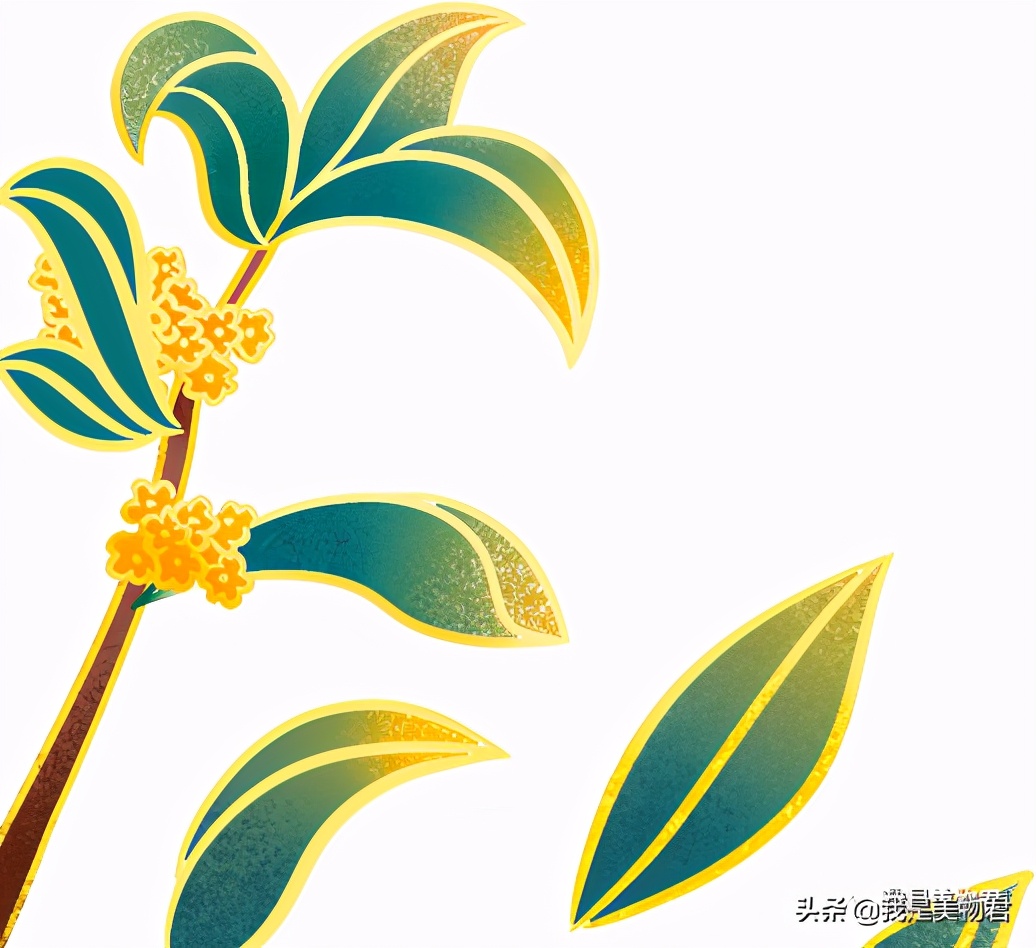 秋天香水橘香,秋季香水