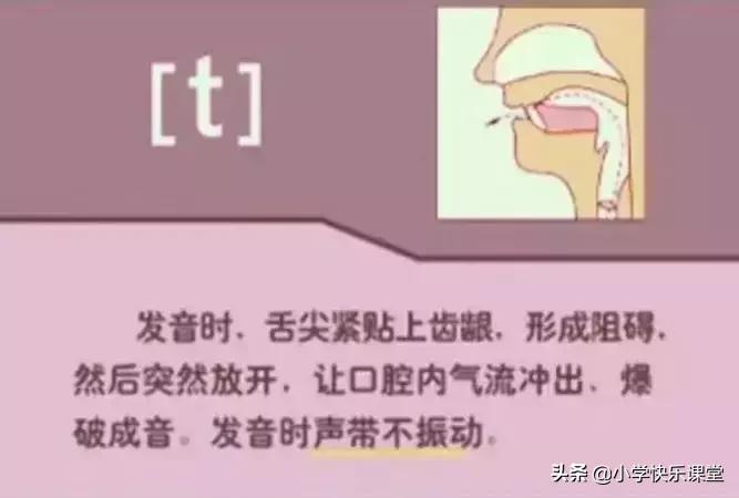 48个国际音标的发音口型视频图,英语48个音标发音口型视频