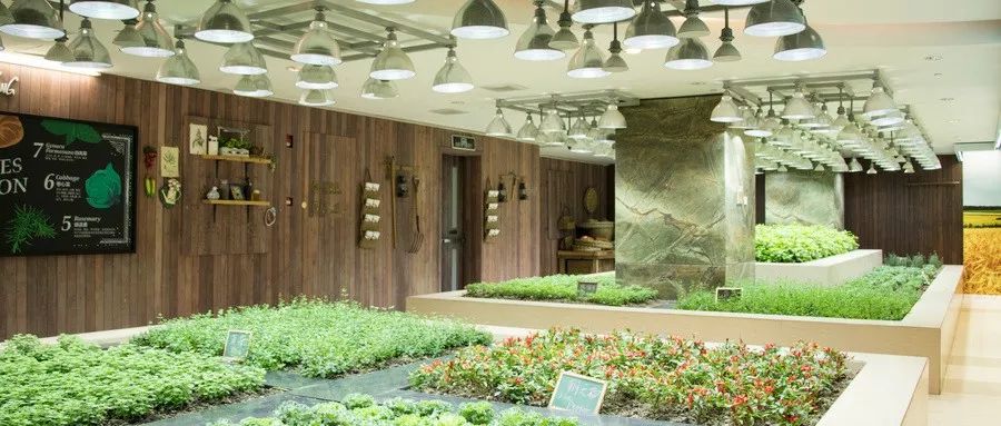 有什么行业适合年轻人创业返乡,什么职业适合乡村创业做生意