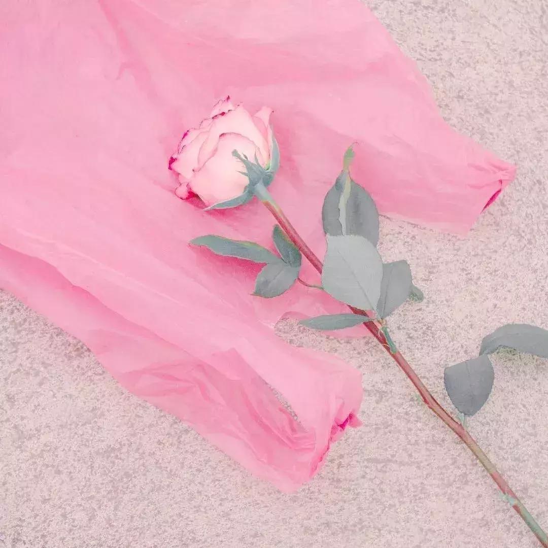 背景图推荐全白,背景图精选好物