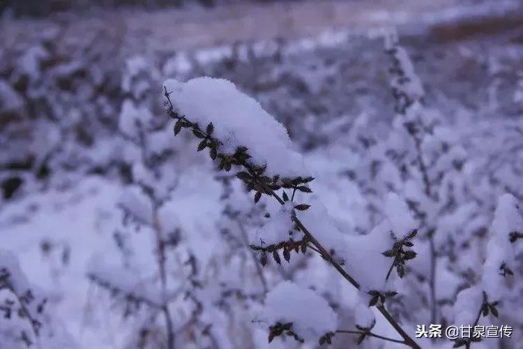 延安2019年第一次下雪是什么时候,延安初雪的时候
