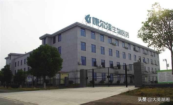 阳湖坪发展趋势,阳湖坪工业园