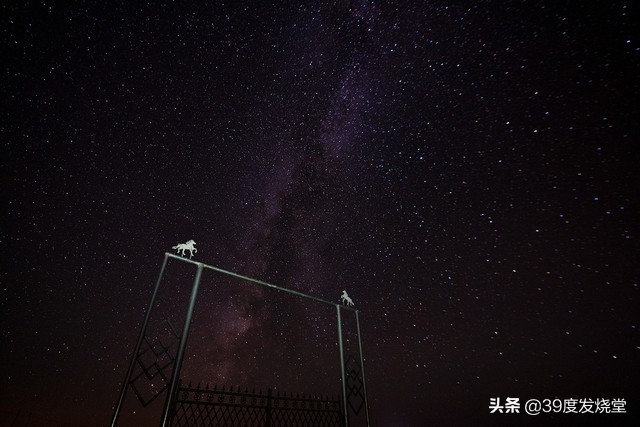 思锐三脚架最新报价,思锐a1005三脚架测评