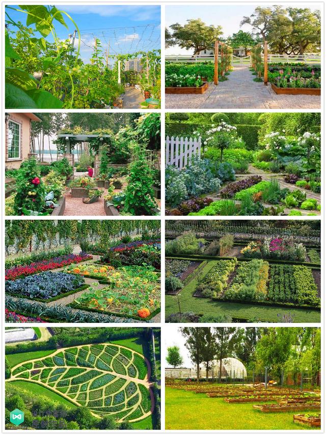 庭院菜园怎么设计最好看？264张案例图+布置详解！简直太实用了