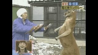 中国偶像团体解散的有哪些,偶像团体解散粉丝哭