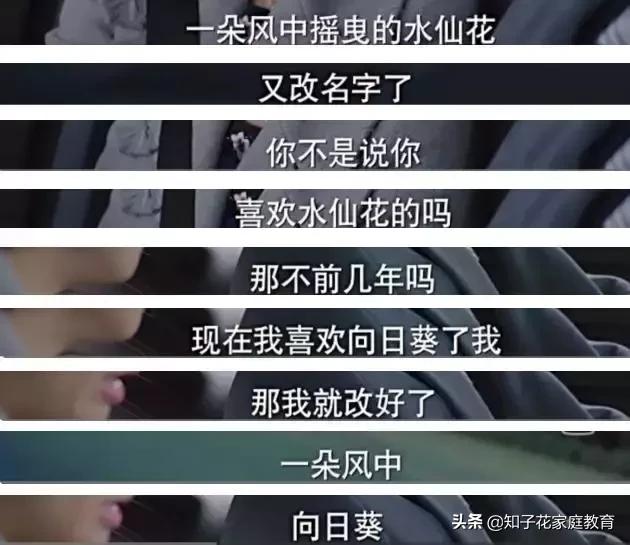 小包总离婚视频全集,小包总杨烁为什么那么老