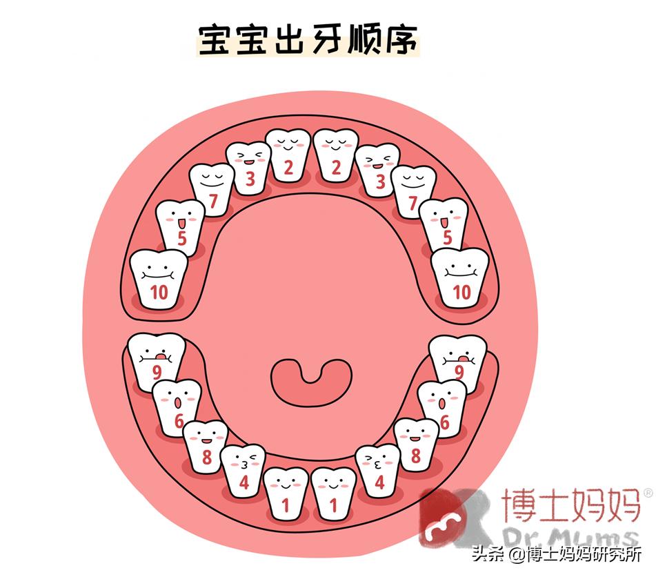 宝宝牙齿健康的秘诀,宝宝牙齿怎么才能长得好看