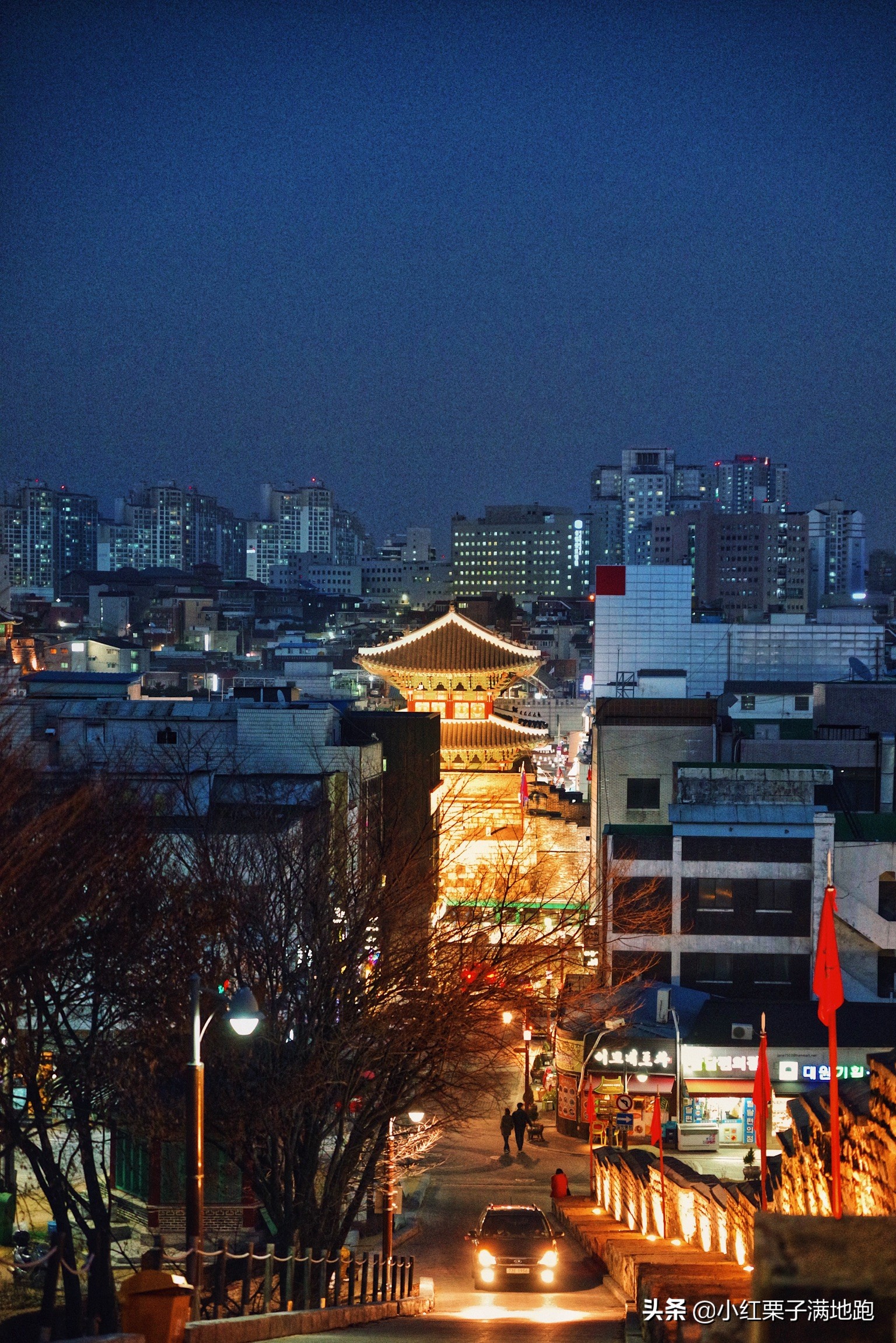 疫散花开张家界,疫散花开欢迎归来