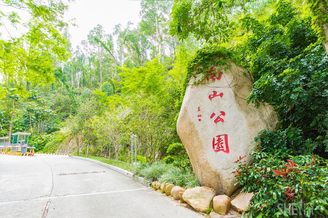 疫情期间免费开放的公园,疫情期间开放的公园有哪些