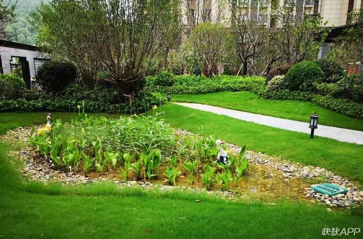 会吸水的城市,徐州海绵城市的要求