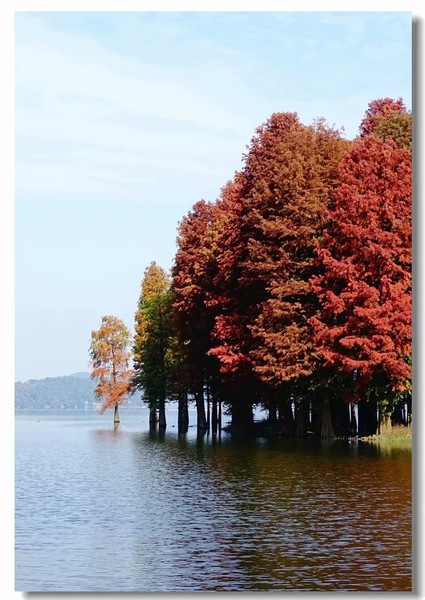 余姚四明湖开元山庄,余姚四明湖开元山庄自驾游