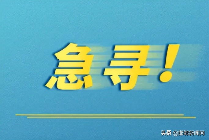 邯郸最新任免7人,邯郸市新任免通知
