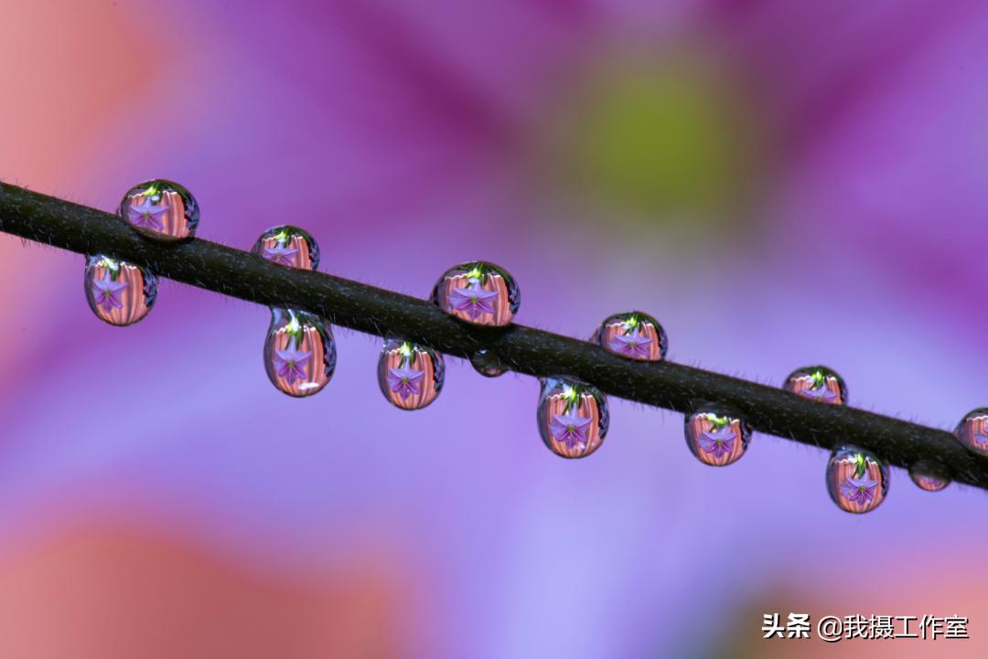 第16届国际摄影艺术展获奖作品,第29届全国摄影艺术展览作品集