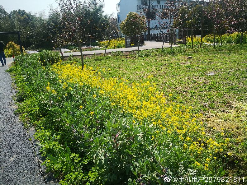 上海浦江附近好玩的地方,上海浦江镇最繁华的地方