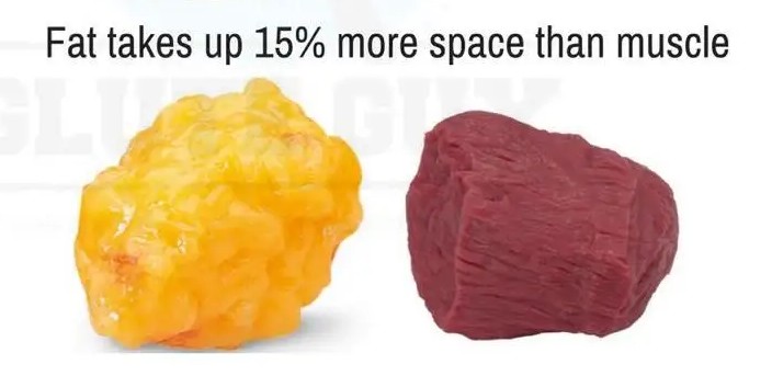 如何让身材变得纤细苗条,身材保持很苗条的女性