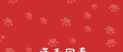 母猫难产应该怎么办,母猫难产有哪些原因