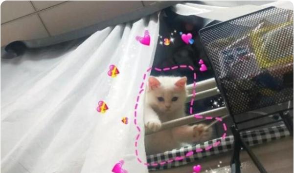 大学生查宿舍违规用品,宿管查违规电器