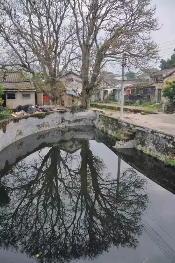 汕头濠江区十大旅游景点,汕头揭阳旅游必去十大景点