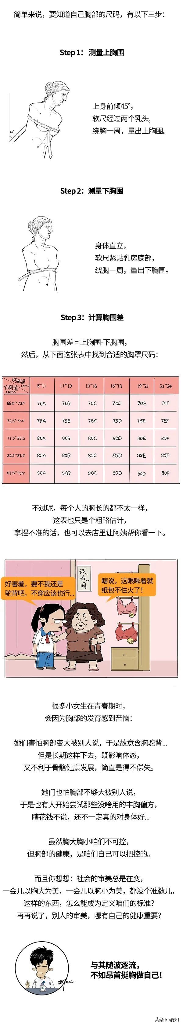 关于胸部发育的小知识,胸部发育知识解读