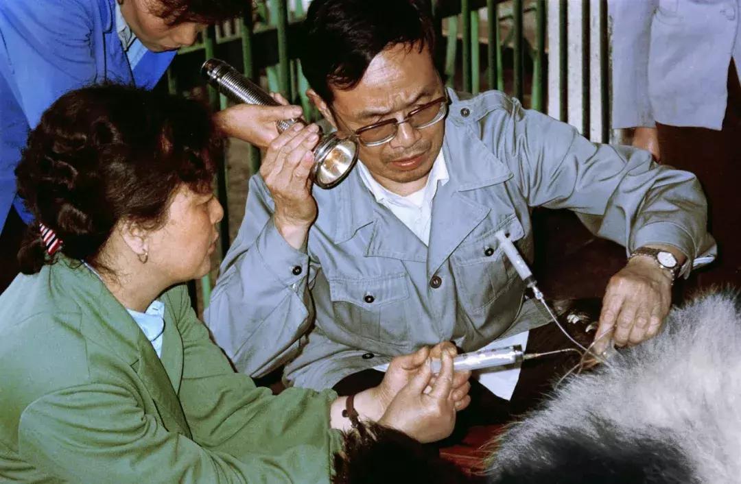 你才可爱你全家都可爱怎么回,你才可爱你全家都可爱出处