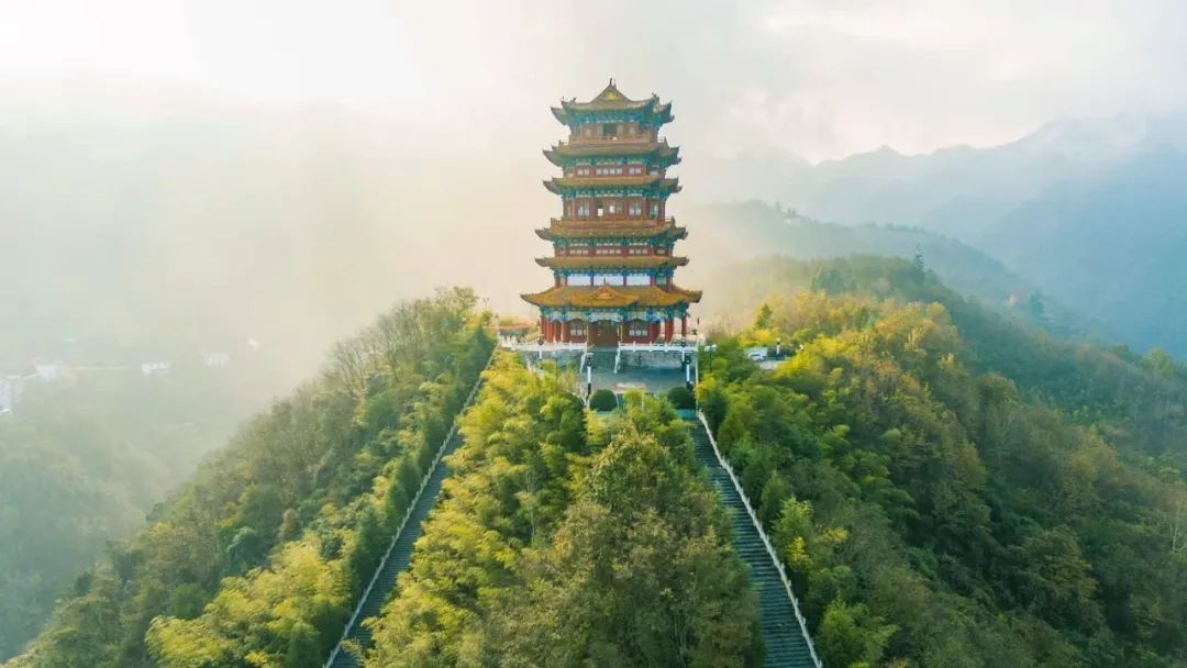 中茶和紫阳茶,紫阳的茶好还是平利的茶好