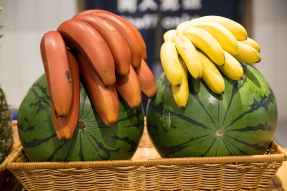 帝王蟹波龙象拔蚌,陆家嘴帝王蟹