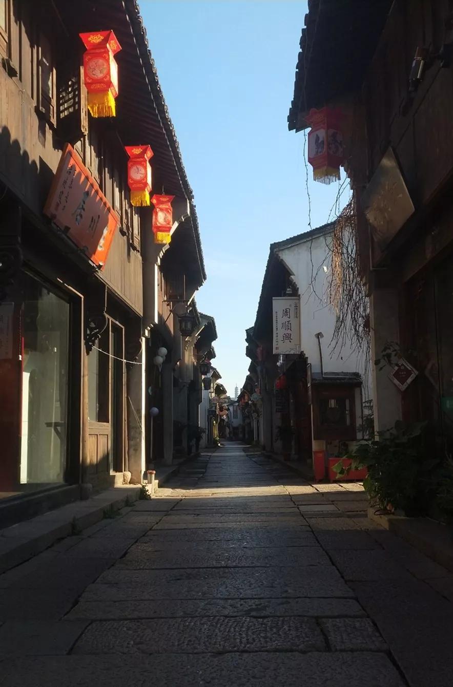 萌宠店到底有什么小宠物,萌宠宠物交易批发小店是骗人的吗