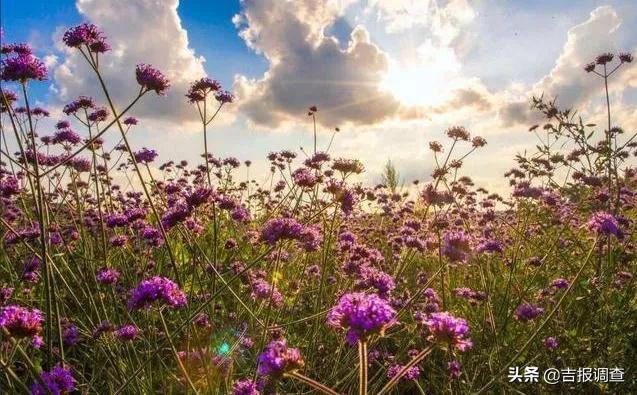 长春风景美的地方,长春最美的十大景点
