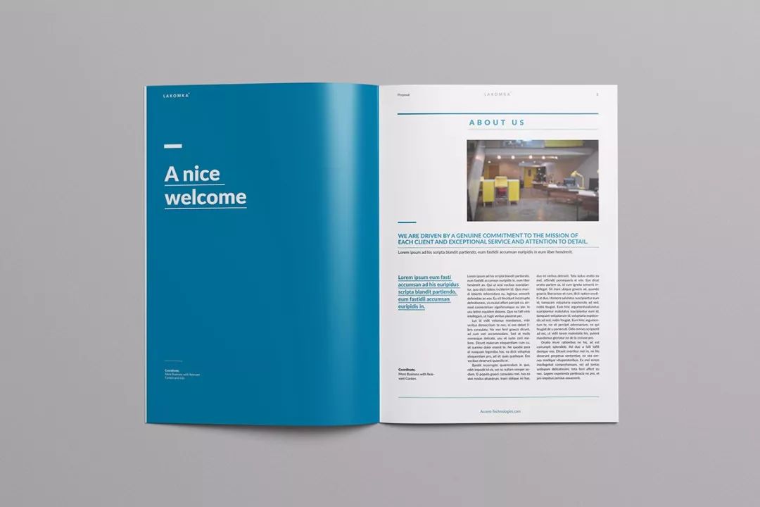 精美企业宣传册,公司宣传册画册设计