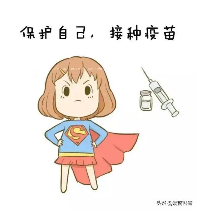 孟医生的故事,孟医生视频完整版