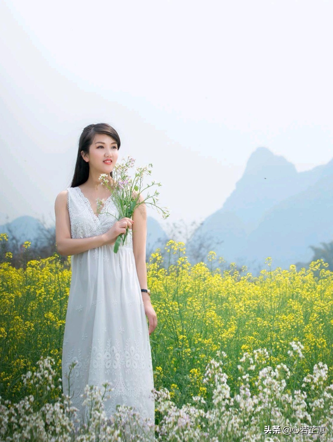 油菜花一片片的像什么,梯田油菜花和平原油菜花