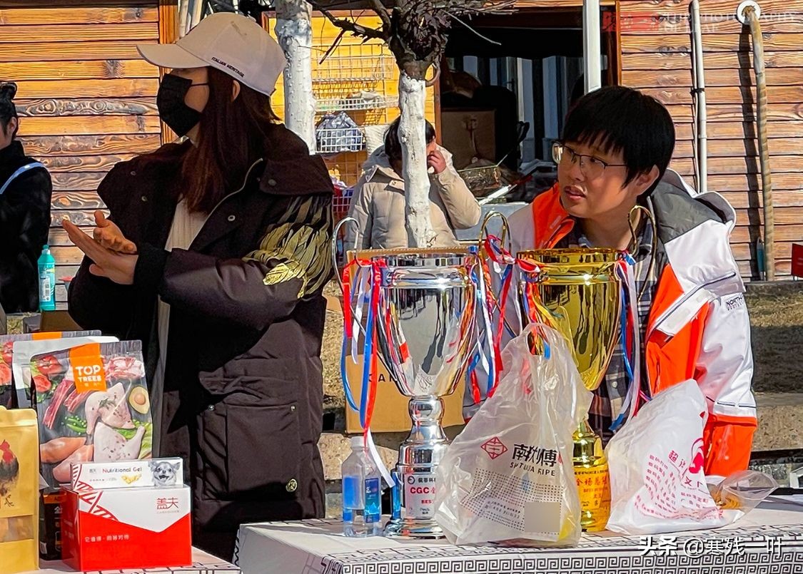 千年古镇的狗选美大赛,千年古镇一场狗狗大赛