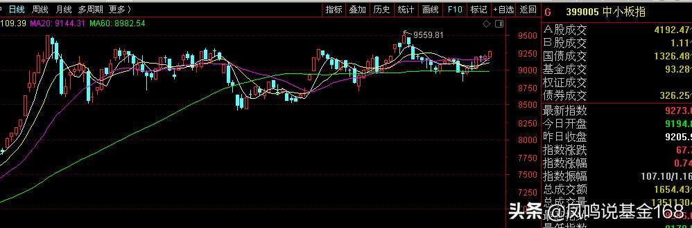 发现好基之中小盘：各种中小盘，盘盘不一样，如何挑选好基