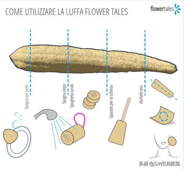 洗碗布用久了,怎样用棉质洗碗布