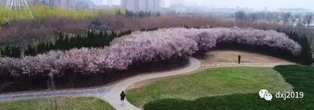 咸阳湖渭水河畔,渭城区咸阳湖