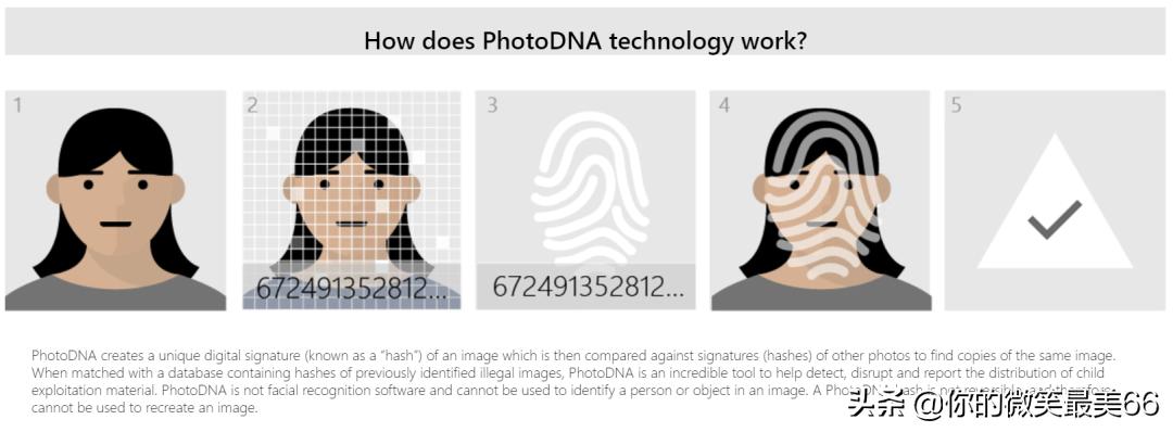 关于Pandownload和百度网盘，你想知道的都在这里了