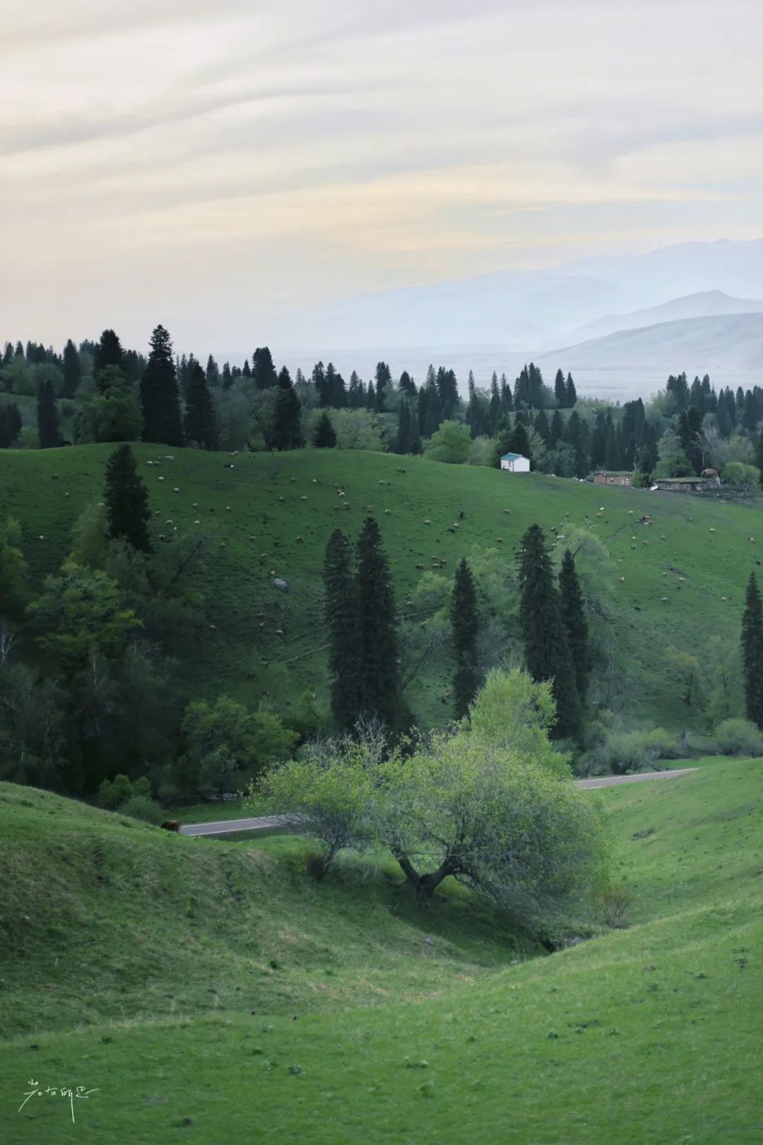 那拉提草原旅游徒步攻略,如何游玩那拉提