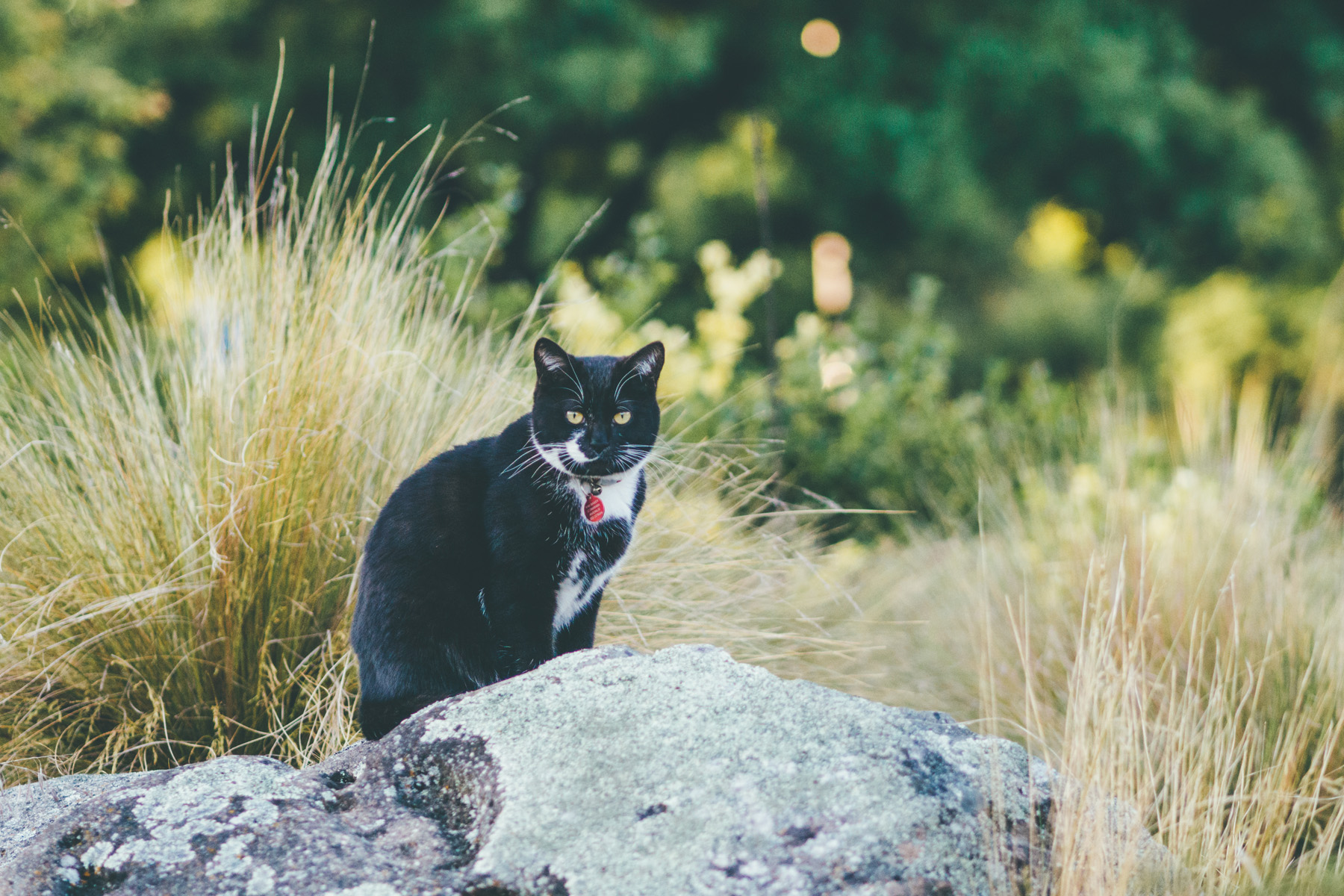 旅游拍摄vlog设备攻略,我的vlog旅游视频