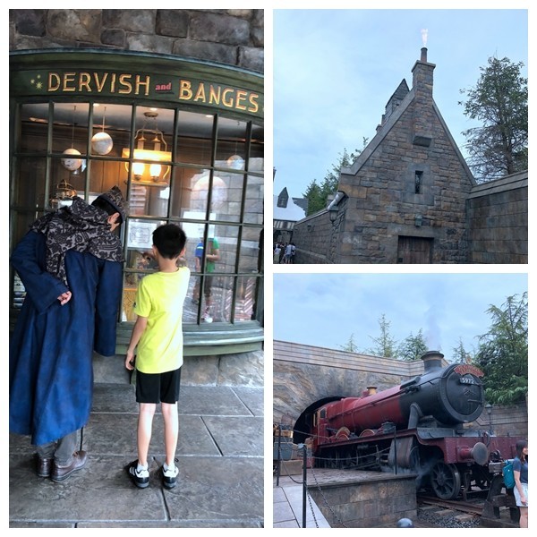 箱根到奈良如何坐车,日本东京京都箱根大阪奈良8日游