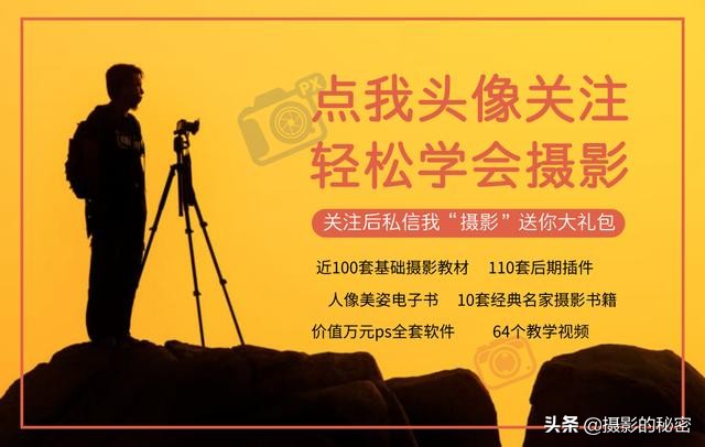 摄影师拍鸟的正确方法,长焦拍摄鸟的技巧