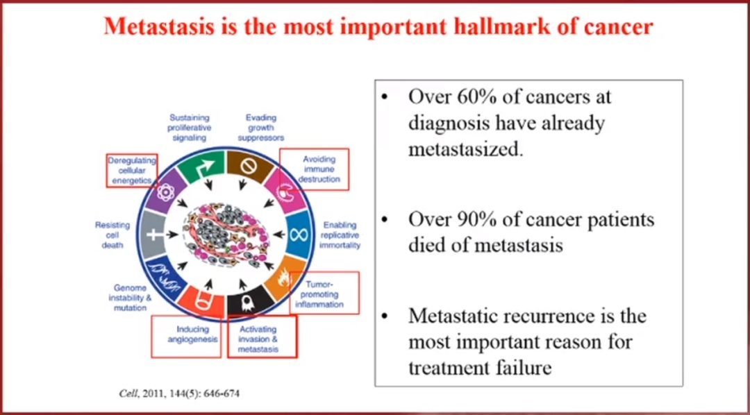 鑲濈粏鑳炵檶鐨勫厤鐤不鐤楁柊杩涘睍,鑲濈粏鑳炵檶娌荤枟鐨勭爺绌舵柊杩涘睍