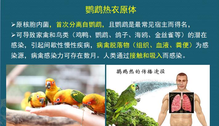 年轻人肺炎出院，花了3万：如果时光倒流，我不去那个养鸡场