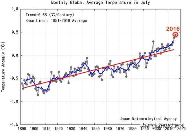 亚马逊雨林救动物,地球之肺亚马逊雨林