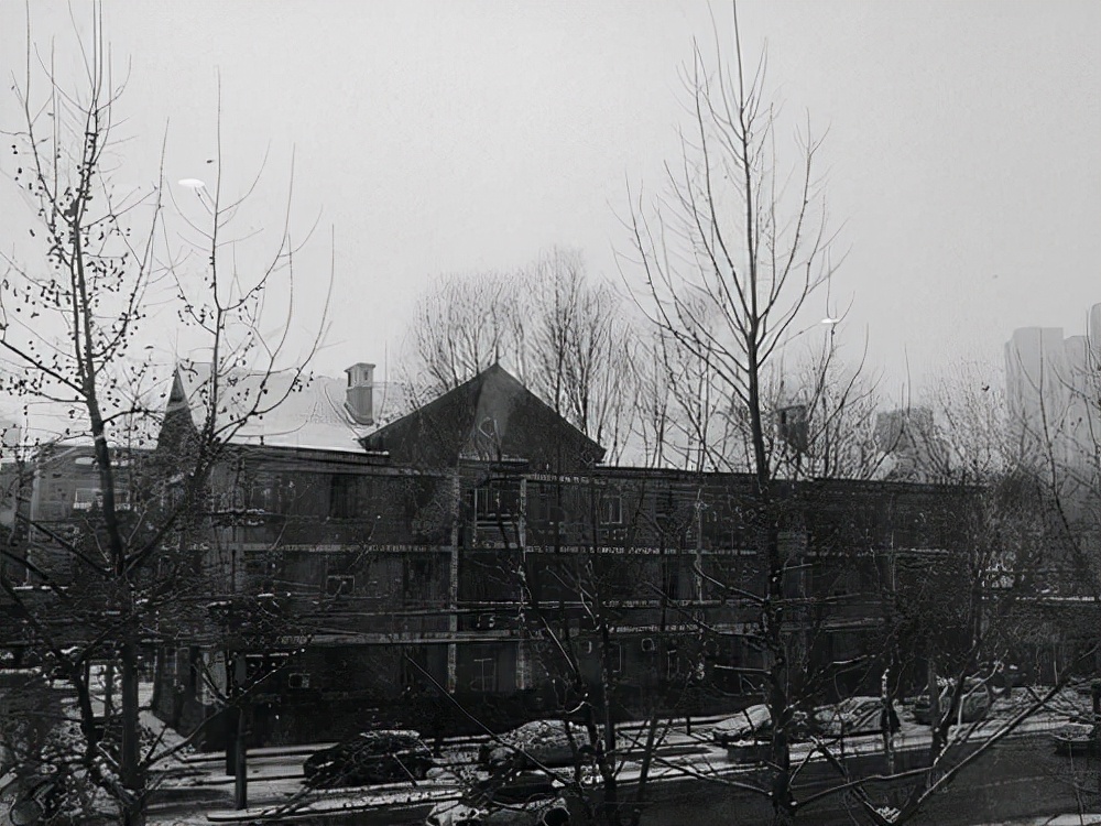 我的母校回忆,我的母校多年不见