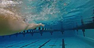 游泳怎么练出肱三头肌,游泳时肱二头肌和肱三头肌的变化