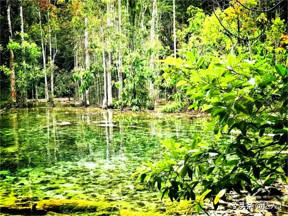 跟着小宇游日本,跟着小天玩游戏