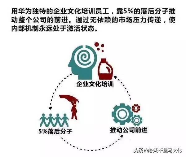 16张图看懂华为管理精华，含文化、培训、绩效、招聘等多个角度！