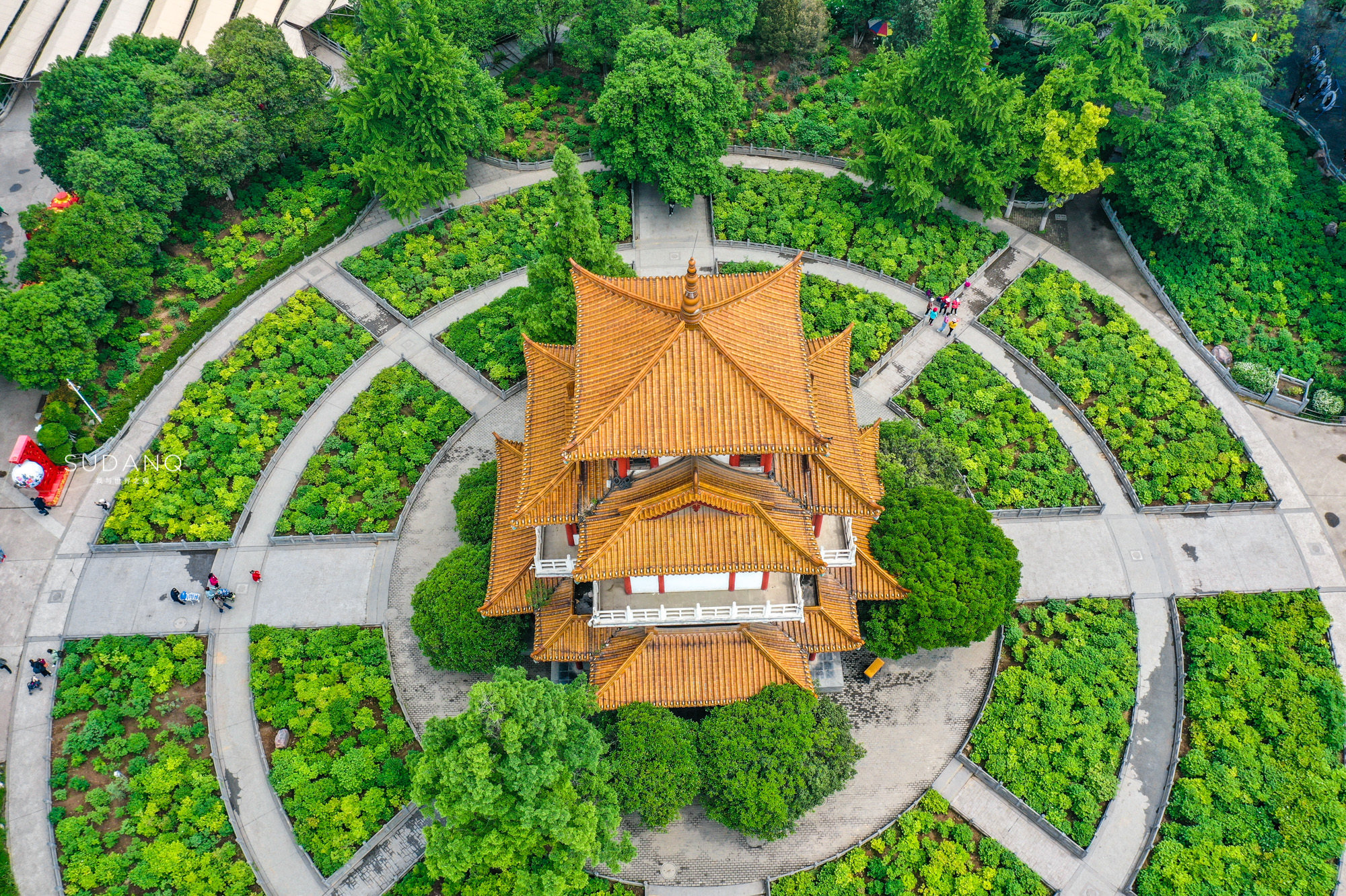 洛阳牡丹甲天下还有吗,洛阳牡丹甲天下的美景