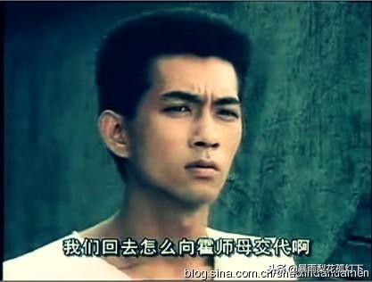 林迪安黄金绿叶视频,多年黄金绿叶林迪安